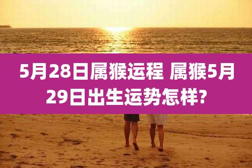 5月28日属猴运程 属猴5月29日出生运势怎样?