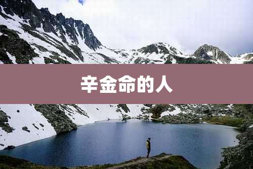 辛金命的人