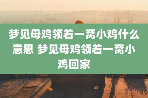 梦见母鸡领着一窝小鸡什么意思 梦见母鸡领着一窝小鸡回家