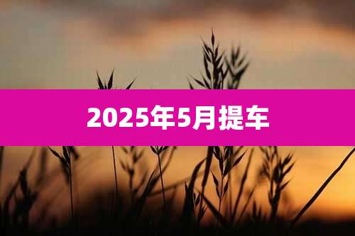 2025年5月提车