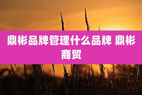 鼎彬品牌管理什么品牌 鼎彬商贸