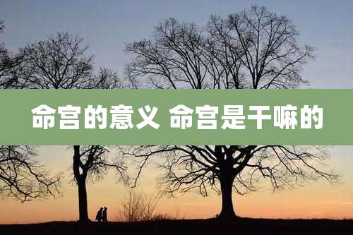 命宫的意义 命宫是干嘛的