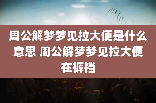 周公解梦梦见拉大便是什么意思 周公解梦梦见拉大便在裤裆