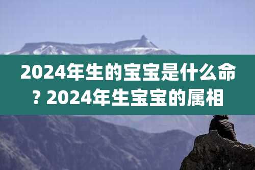 2024年生的宝宝是什么命? 2024年生宝宝的属相