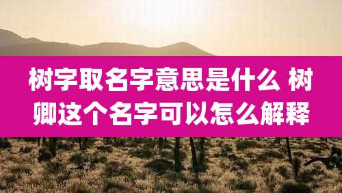 树字取名字意思是什么 树卿这个名字可以怎么解释