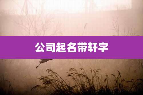 公司起名带轩字