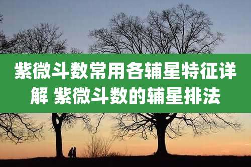 紫微斗数常用各辅星特征详解 紫微斗数的辅星排法