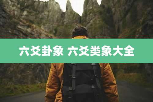 六爻卦象 六爻类象大全