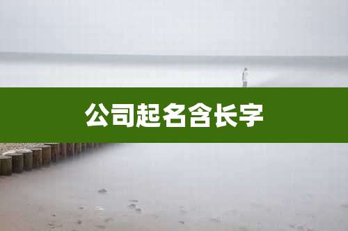 公司起名含长字