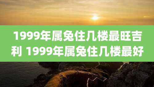 1999年属兔住几楼最旺吉利 1999年属兔住几楼最好