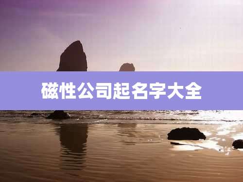 磁性公司起名字大全