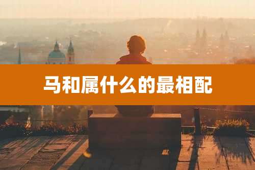 马和属什么的最相配