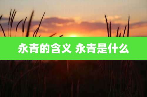 永青的含义 永青是什么