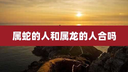 属蛇的人和属龙的人合吗