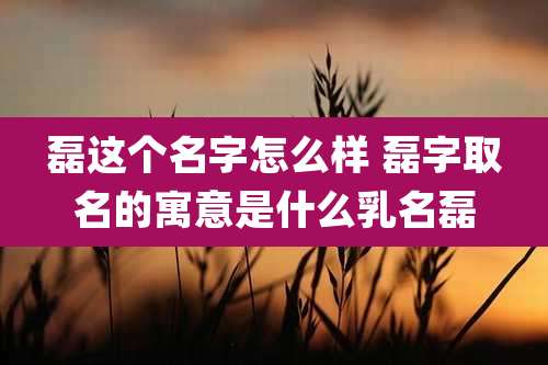 磊这个名字怎么样 磊字取名的寓意是什么乳名磊
