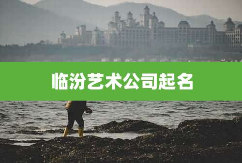 临汾艺术公司起名