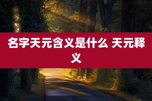 名字天元含义是什么 天元释义