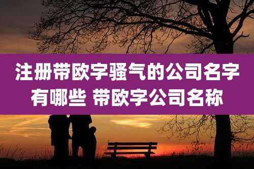 注册带欧字骚气的公司名字有哪些 带欧字公司名称