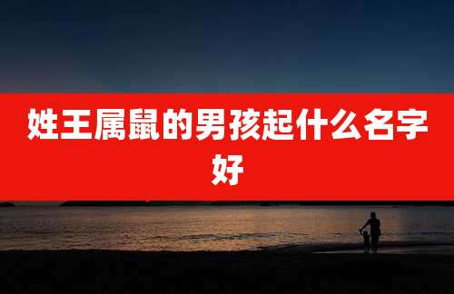 姓王属鼠的男孩起什么名字好