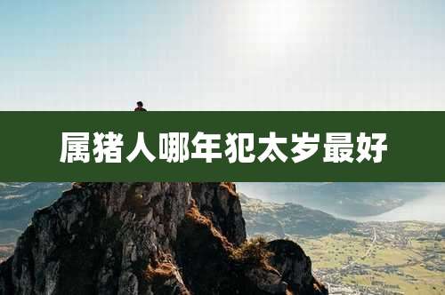 属猪人哪年犯太岁最好