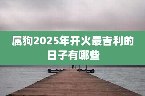属狗2025年开火最吉利的日子有哪些