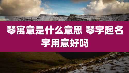 琴寓意是什么意思 琴字起名字用意好吗