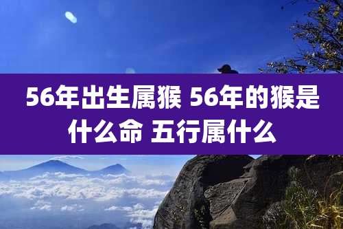56年出生属猴 56年的猴是什么命 五行属什么