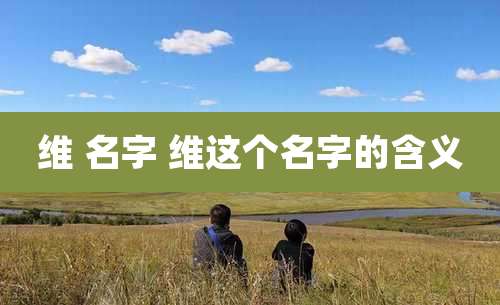 维 名字 维这个名字的含义
