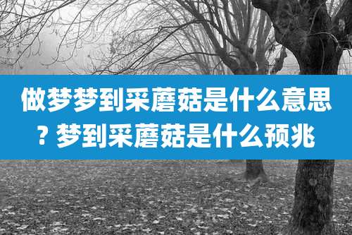 做梦梦到采蘑菇是什么意思? 梦到采蘑菇是什么预兆