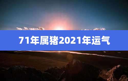 71年属猪2021年运气