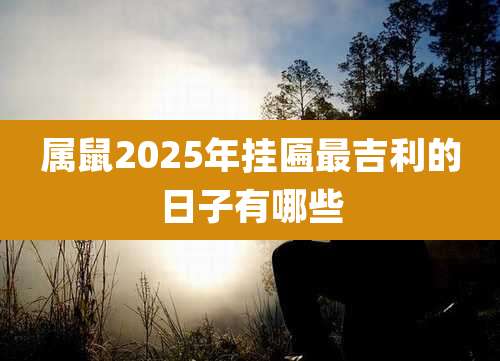 属鼠2025年挂匾最吉利的日子有哪些
