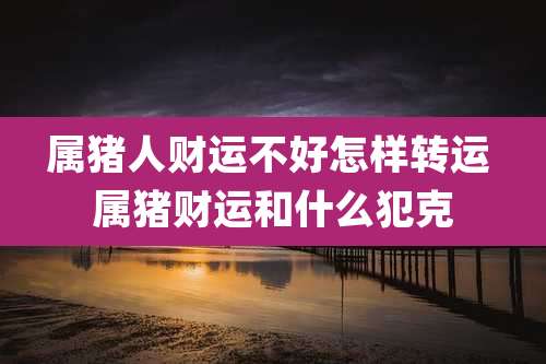 属猪人财运不好怎样转运 属猪财运和什么犯克