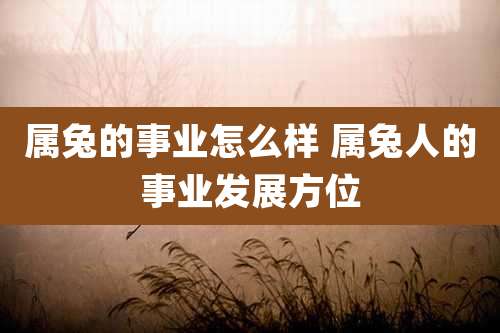 属兔的事业怎么样 属兔人的事业发展方位
