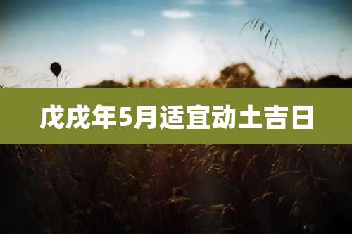 戊戌年5月适宜动土吉日
