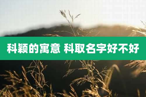 科颖的寓意 科取名字好不好