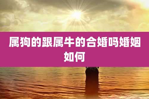 属狗的跟属牛的合婚吗婚姻如何
