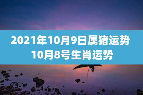 2021年10月9日属猪运势 10月8号生肖运势