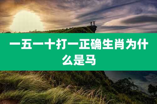 一五一十打一正确生肖为什么是马