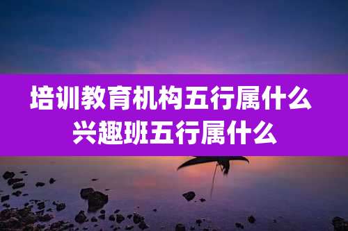 培训教育机构五行属什么 兴趣班五行属什么