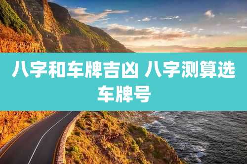 八字和车牌吉凶 八字测算选车牌号
