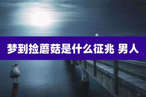 梦到捡蘑菇是什么征兆 男人