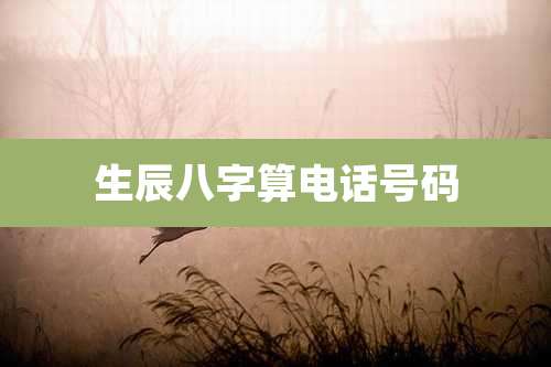 生辰八字算电话号码