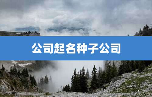 公司起名种子公司