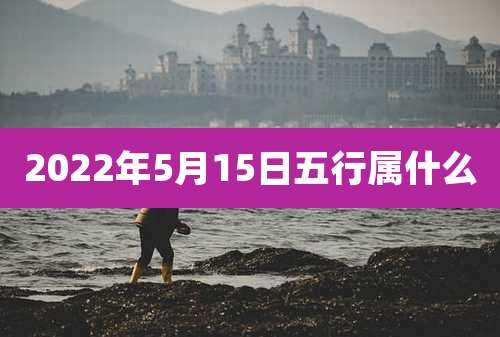 2022年5月15日五行属什么