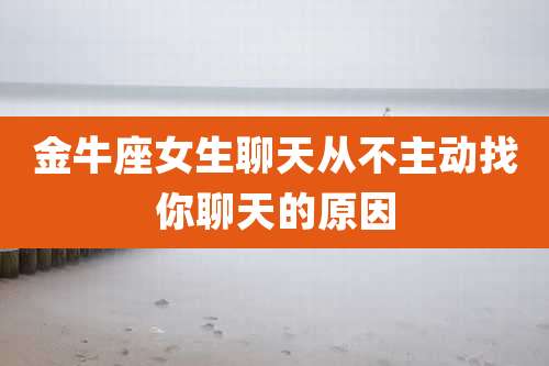 金牛座女生聊天从不主动找你聊天的原因