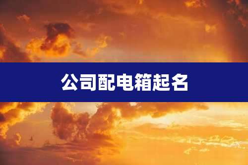 公司配电箱起名