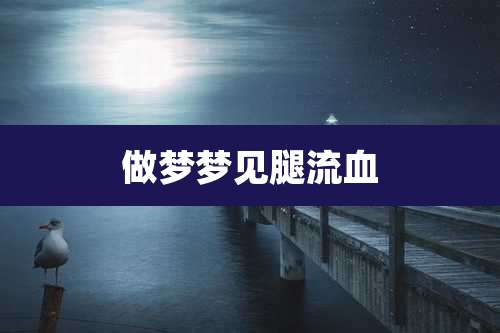 做梦梦见腿流血