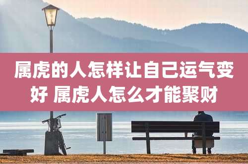 属虎的人怎样让自己运气变好 属虎人怎么才能聚财