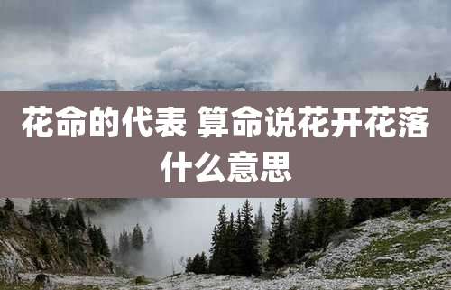 花命的代表 算命说花开花落什么意思