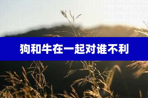 狗和牛在一起对谁不利